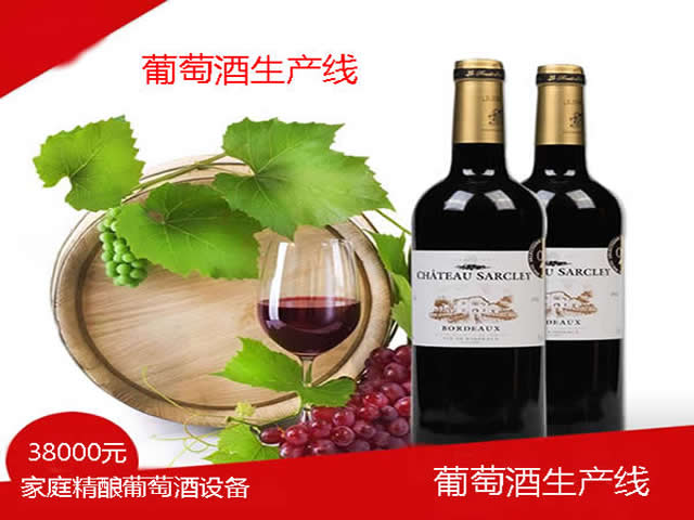 <b>葡萄酒生产线 酿葡萄酒设备</b>